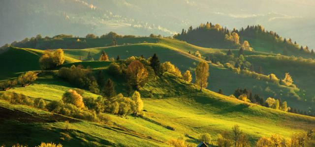 rolling hills at golden hour